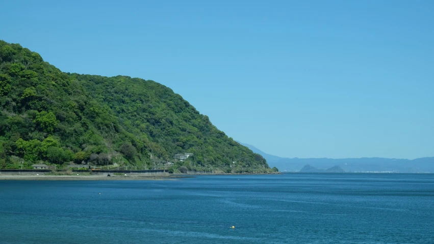 a hill with a tree on the shore