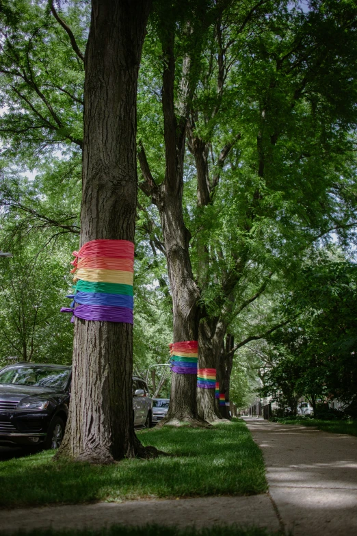 several striped trees with parking spaces in the background