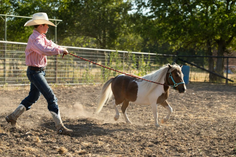 the man is pulling the horse by a rope