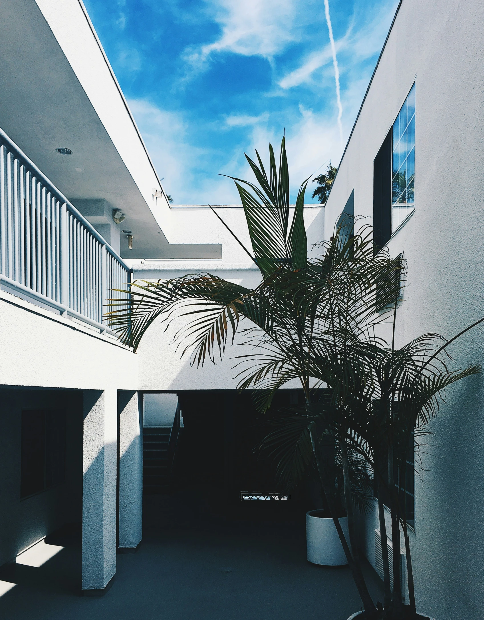 the back of an empty building with plants and stairs