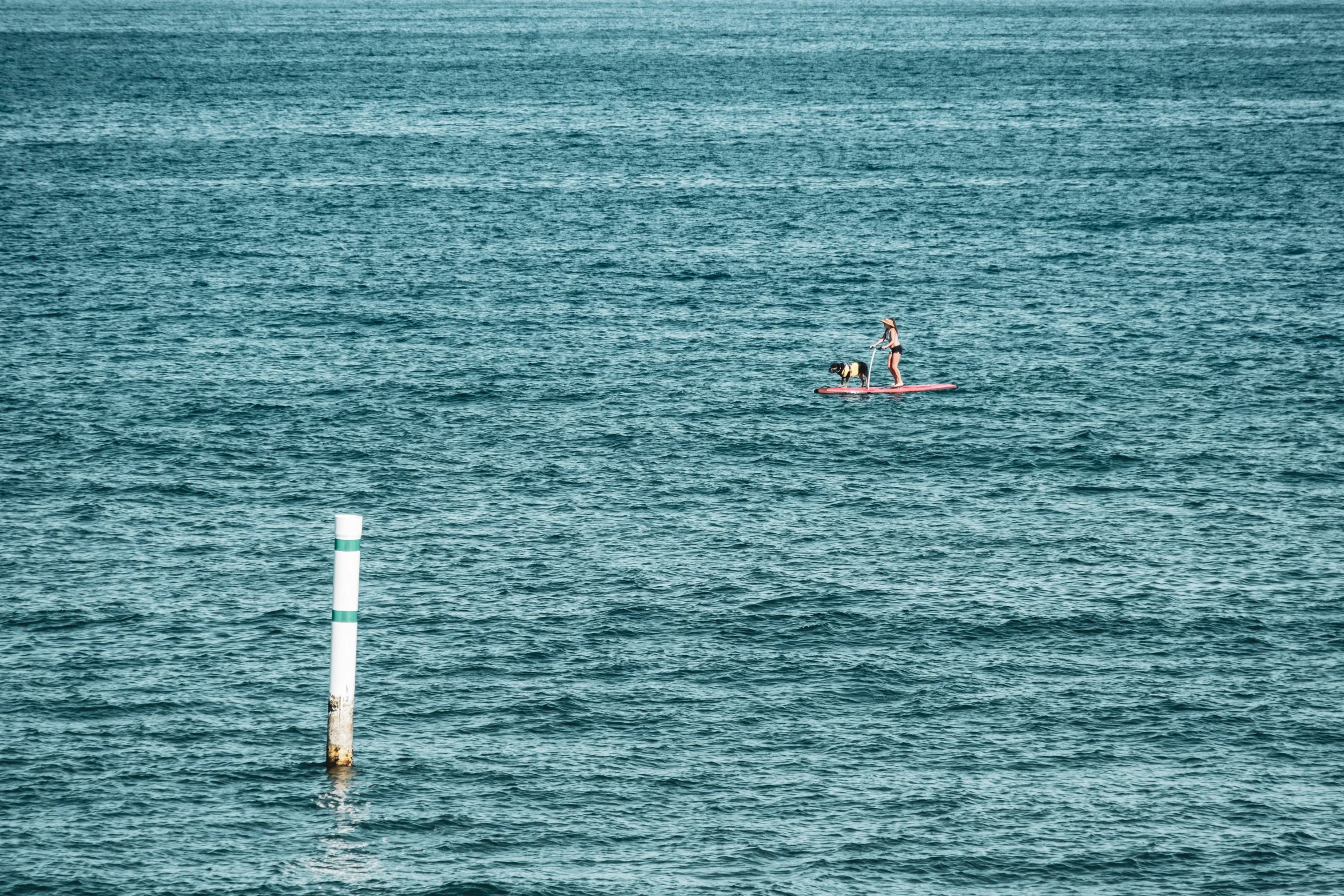 a man stands up paddling his surfboard in the ocean