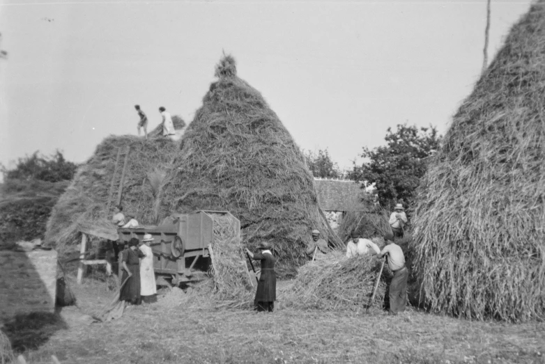 an old po of some people picking hay