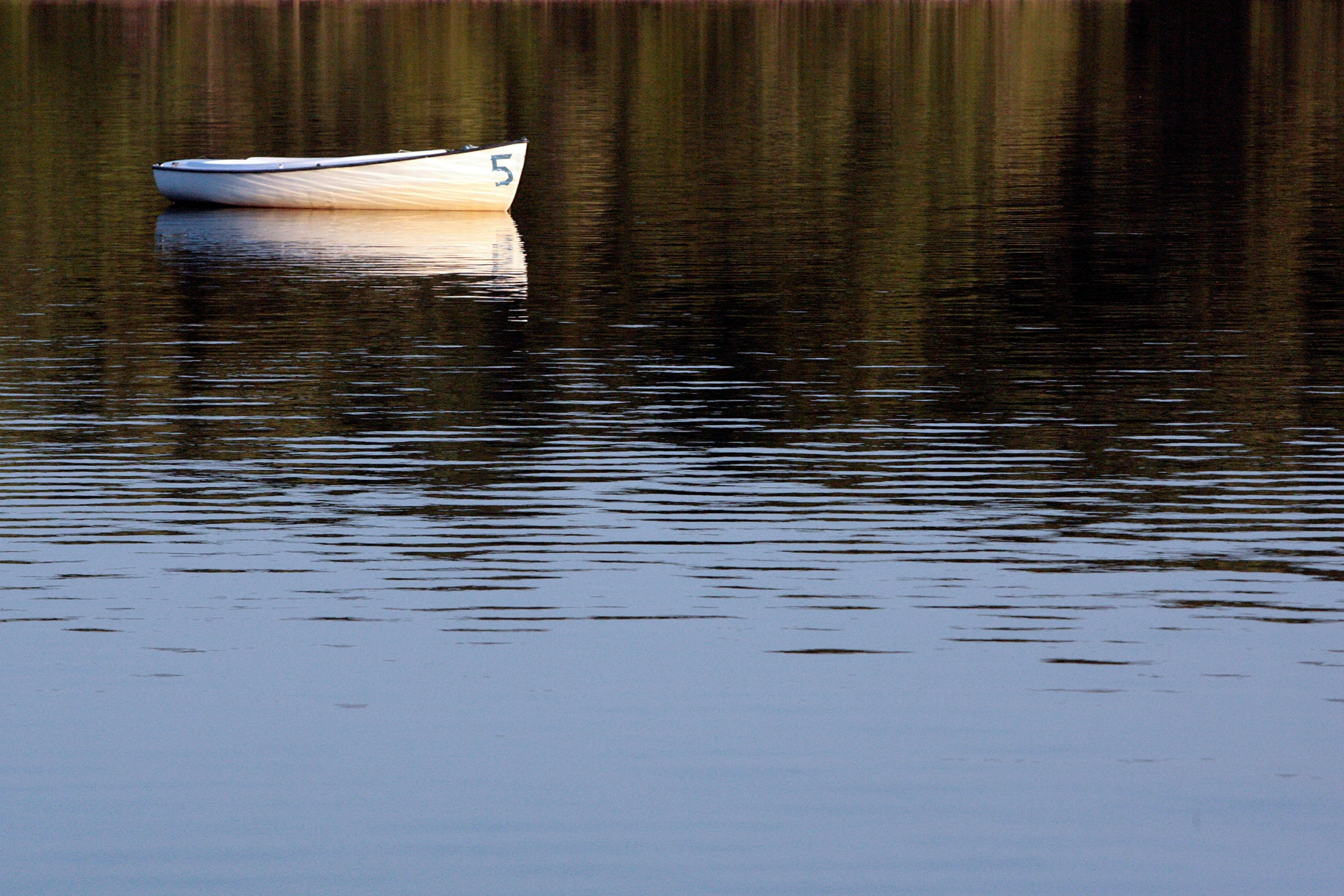 a small boat floating on top of a lake near a forest