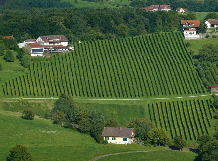 a farm house is surrounded by green crops