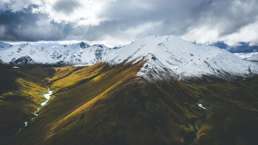 a large snowy mountain next to a forest