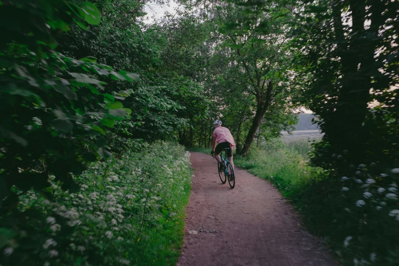 a person riding a bicycle in the woods