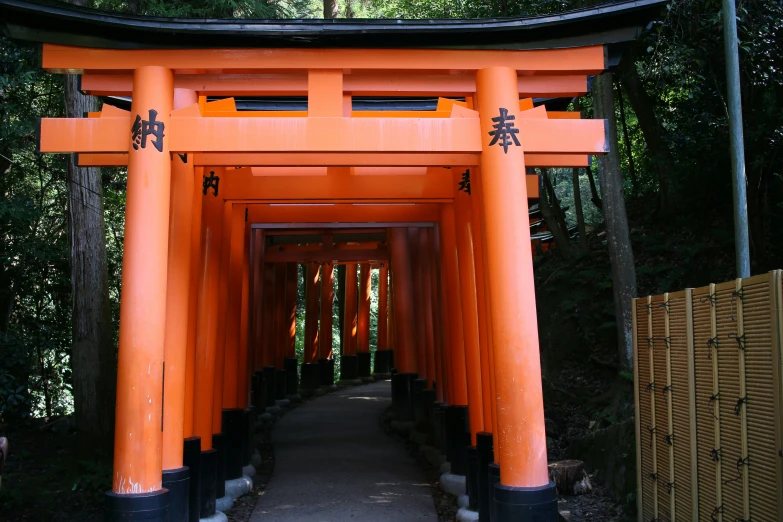 a path going through an array of orange torii tori torion