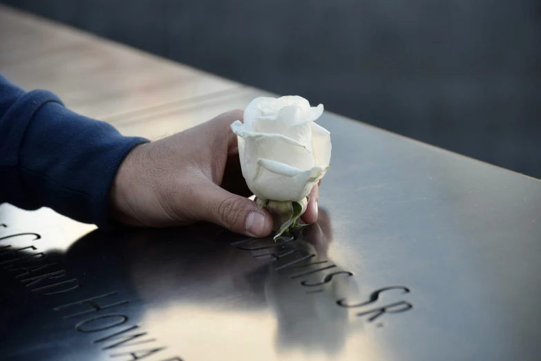 a white rose sits on the side of a black memorial