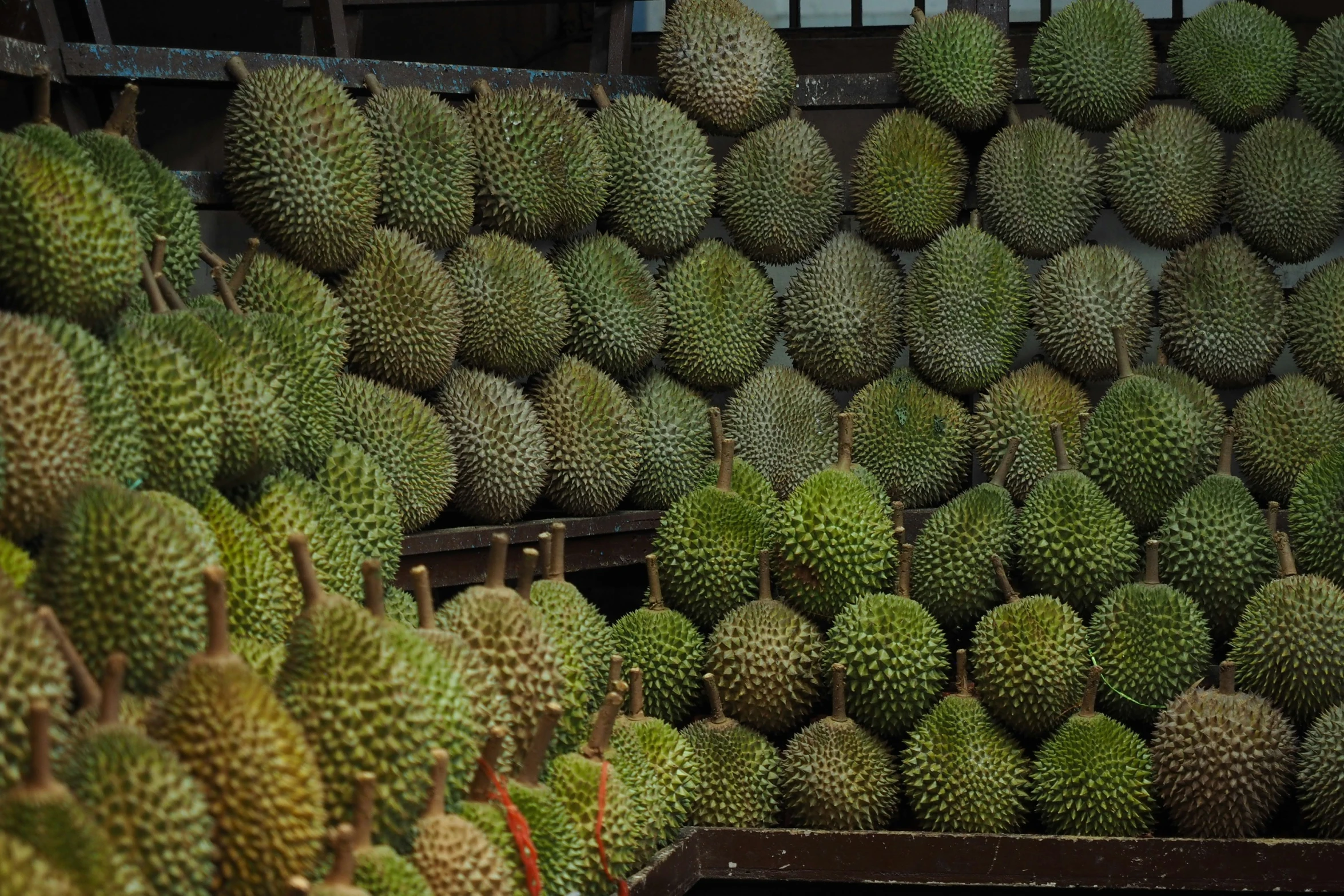 a truck filled with lots of durians next to each other