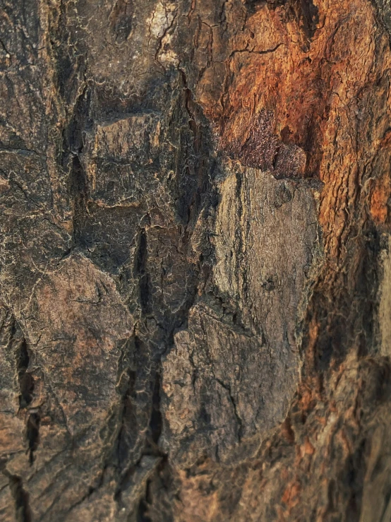 a very dark rock with black spots and rocks in it