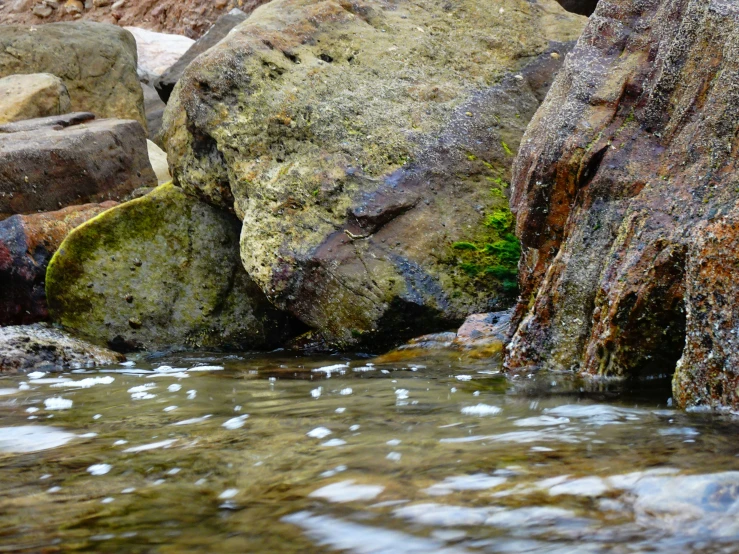 large rocks in the water with algae growing on them