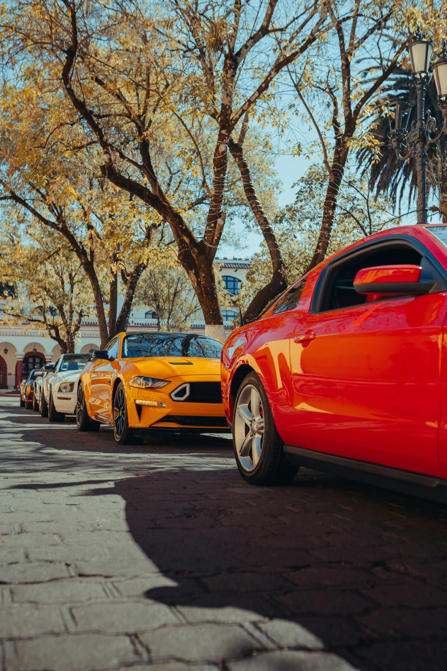 there are many different cars parked in the line