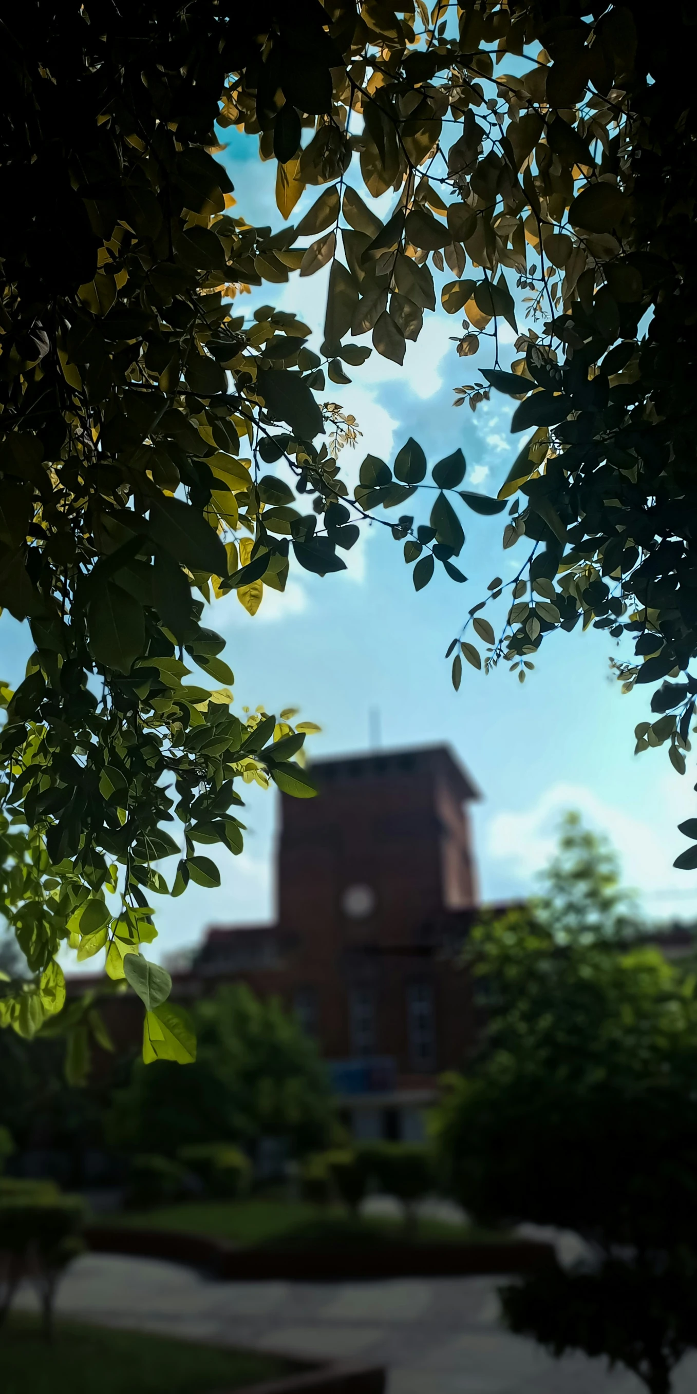 a building is surrounded by trees and shrubs