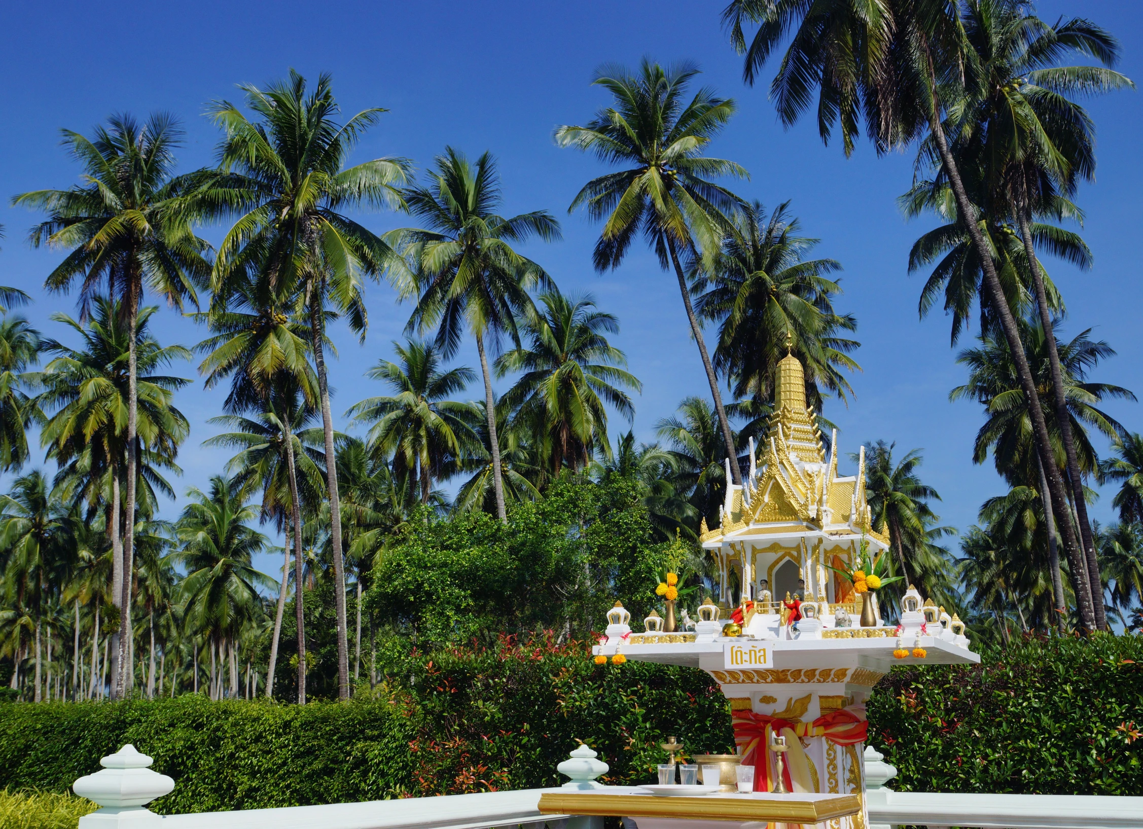 a fountain on the side of a path between palm trees