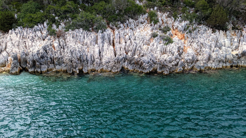 this is some sort of ocean wall with a tree in the middle