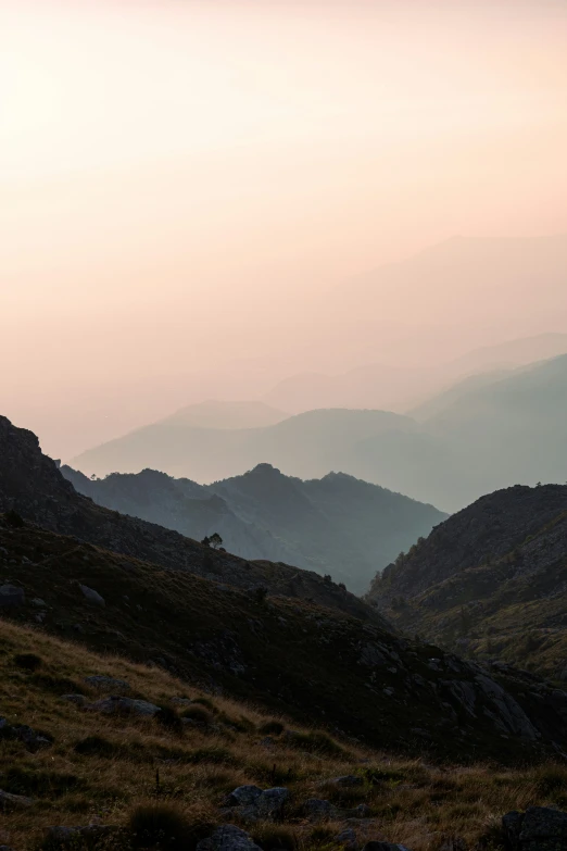 an animal on a hill surrounded by mountains