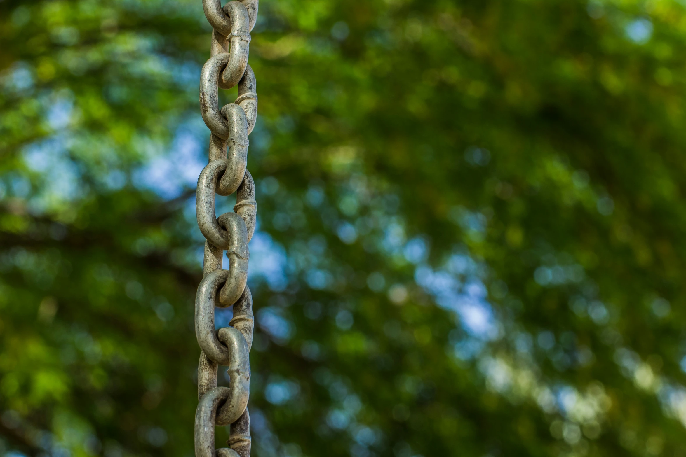 a closeup view of a chain link hanging from a tree