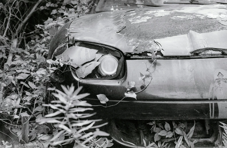 this is a picture of an old rusted car in the wild