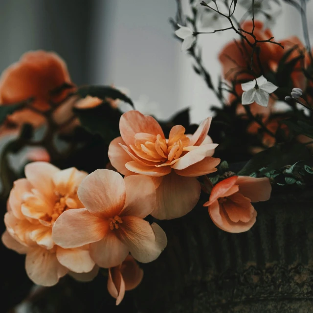 there are many peach flowers that are in the vase