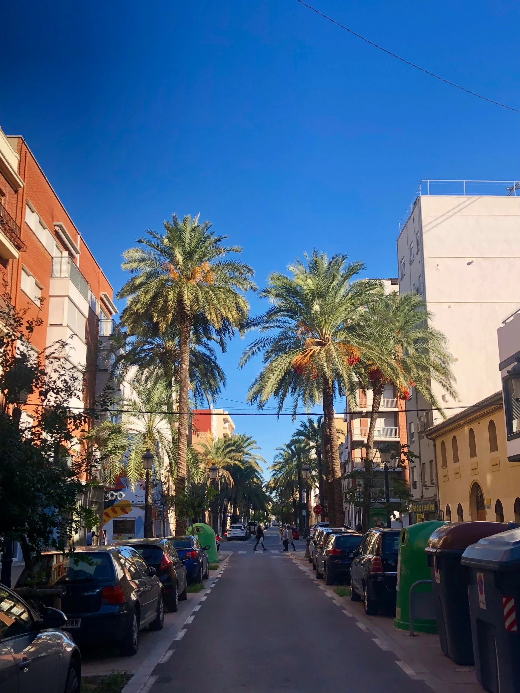 the street is narrow but quiet and has no cars on it