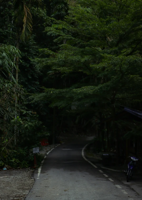 a bicycle on the road surrounded by trees