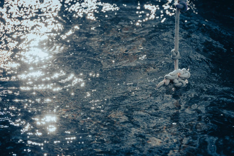 a person in water holding a sail and a rope