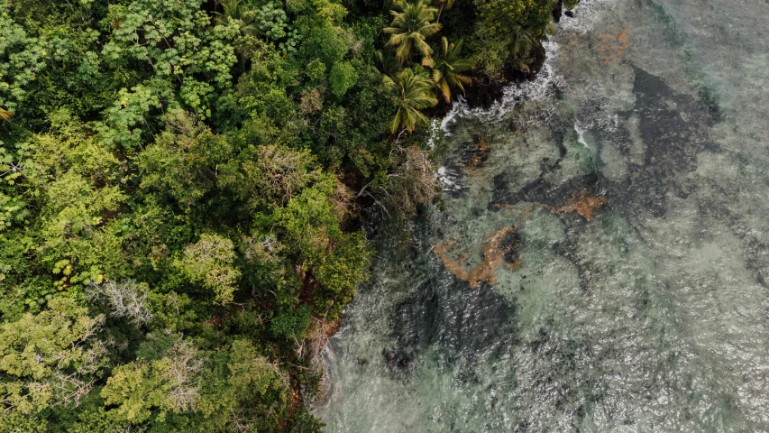 a picture taken from the air shows a boat sailing in the ocean between many trees