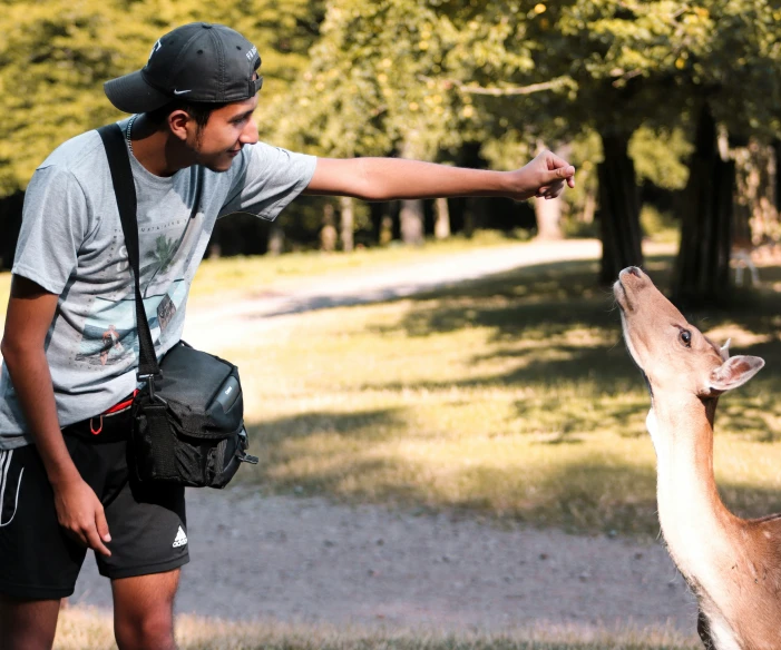 a man feeding soing to a young deer