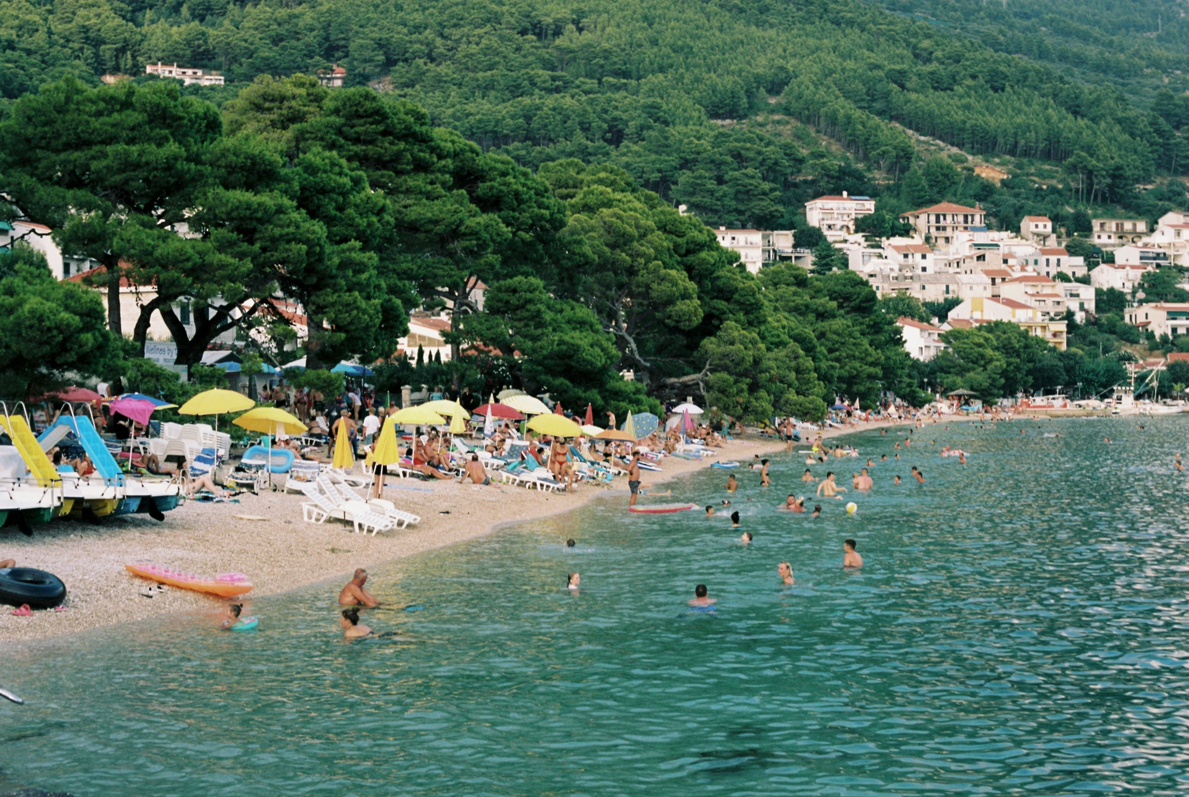 a crowded beach surrounded by trees and umbrellas