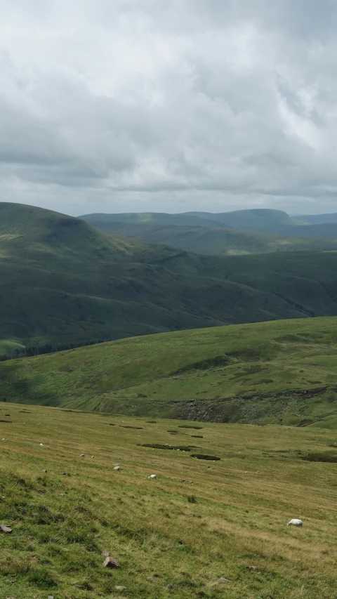 sheep grazing on the grassy side of a mountainous valley