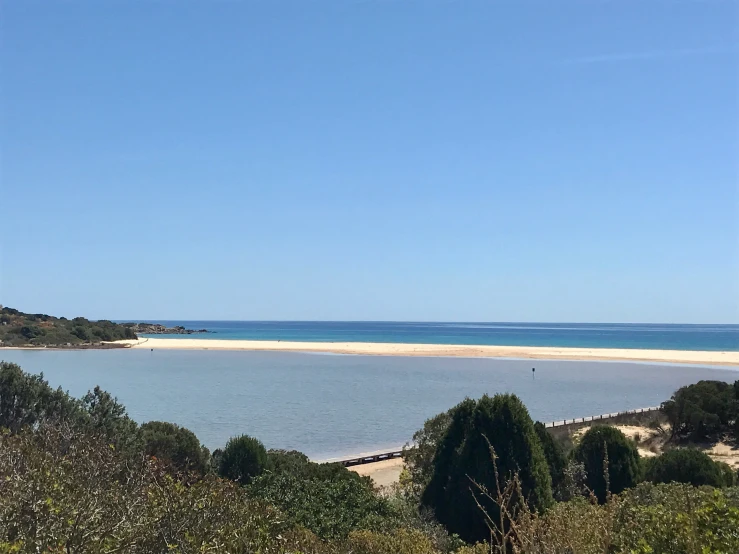 a river near some trees with an ocean behind it