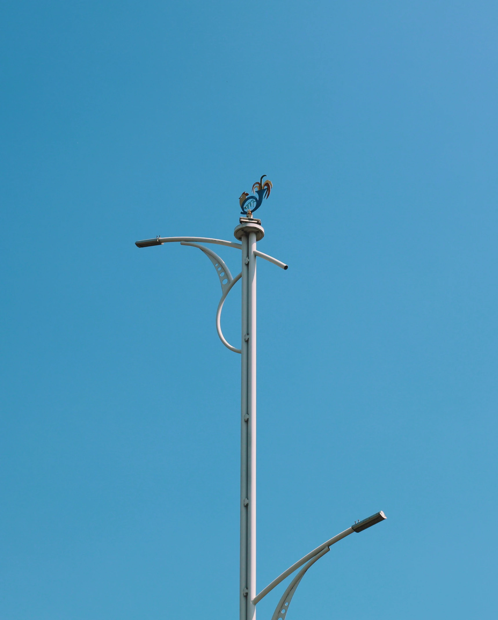 an image of a street lamp pole with two birds