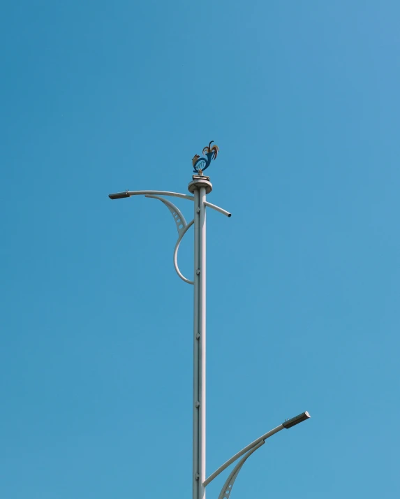 an image of a street lamp pole with two birds