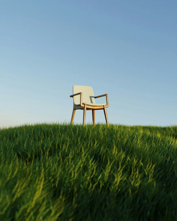 a chair that is sitting in the grass