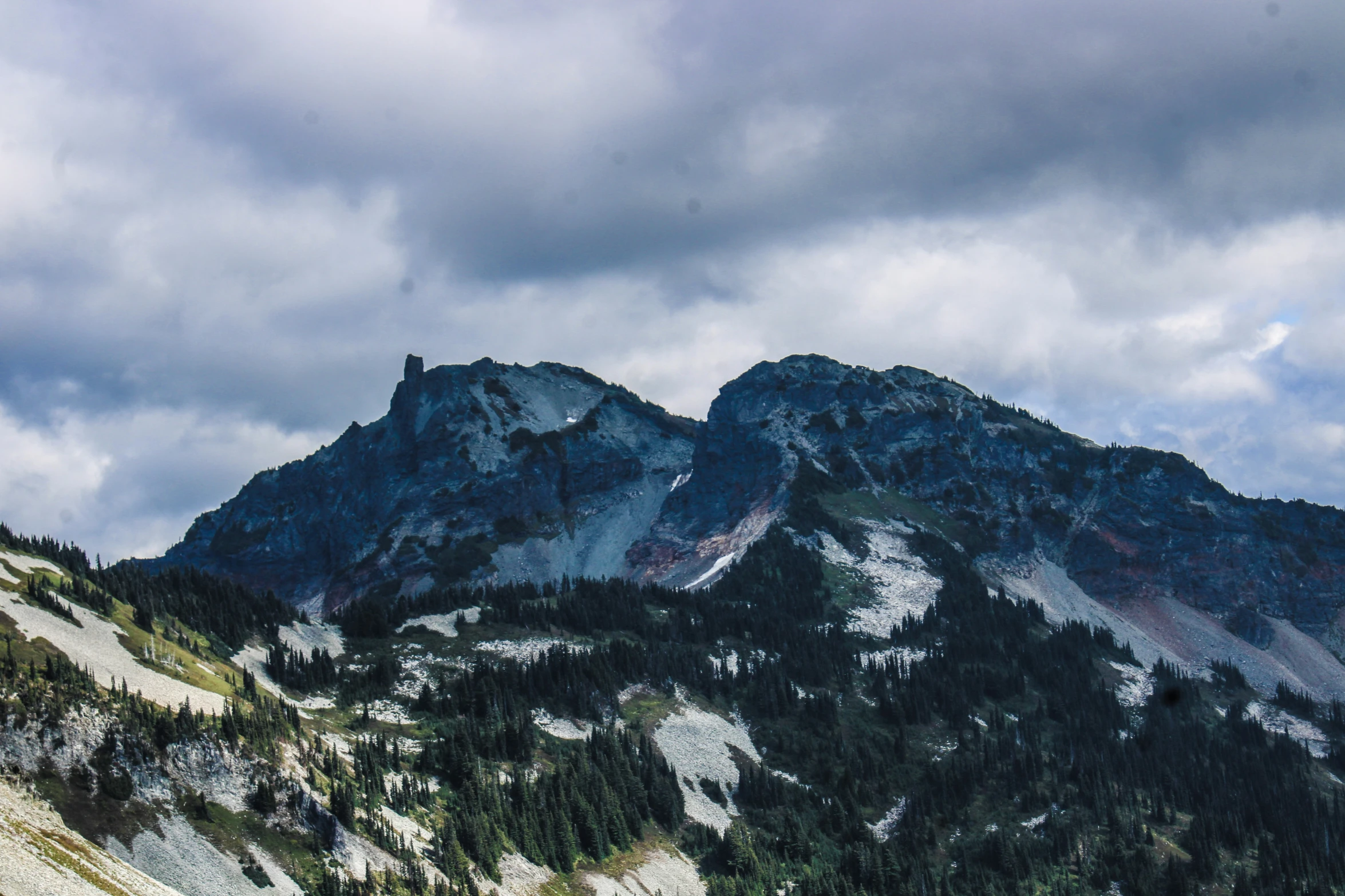 mountain peaks covered in snow and pine trees