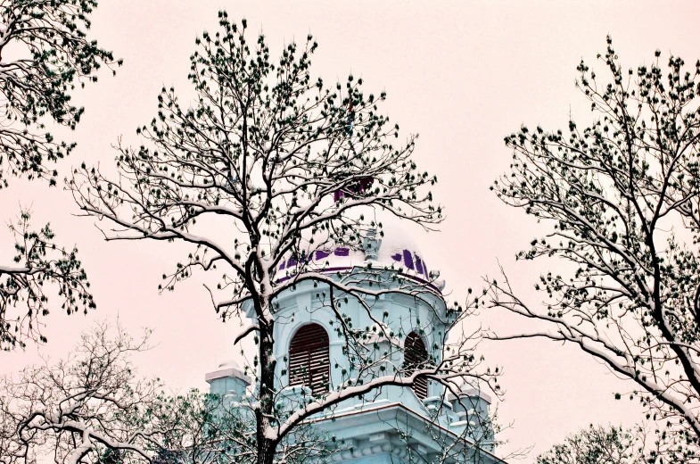 a building with a bell tower in the trees