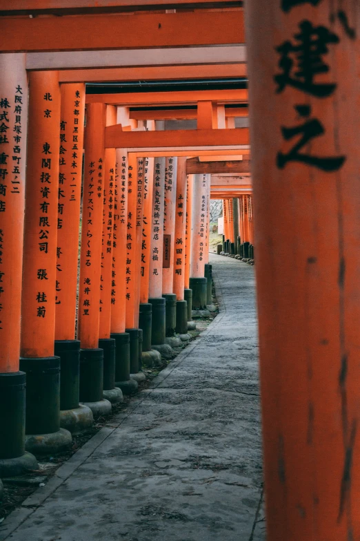 a lot of orange and black columns on cement