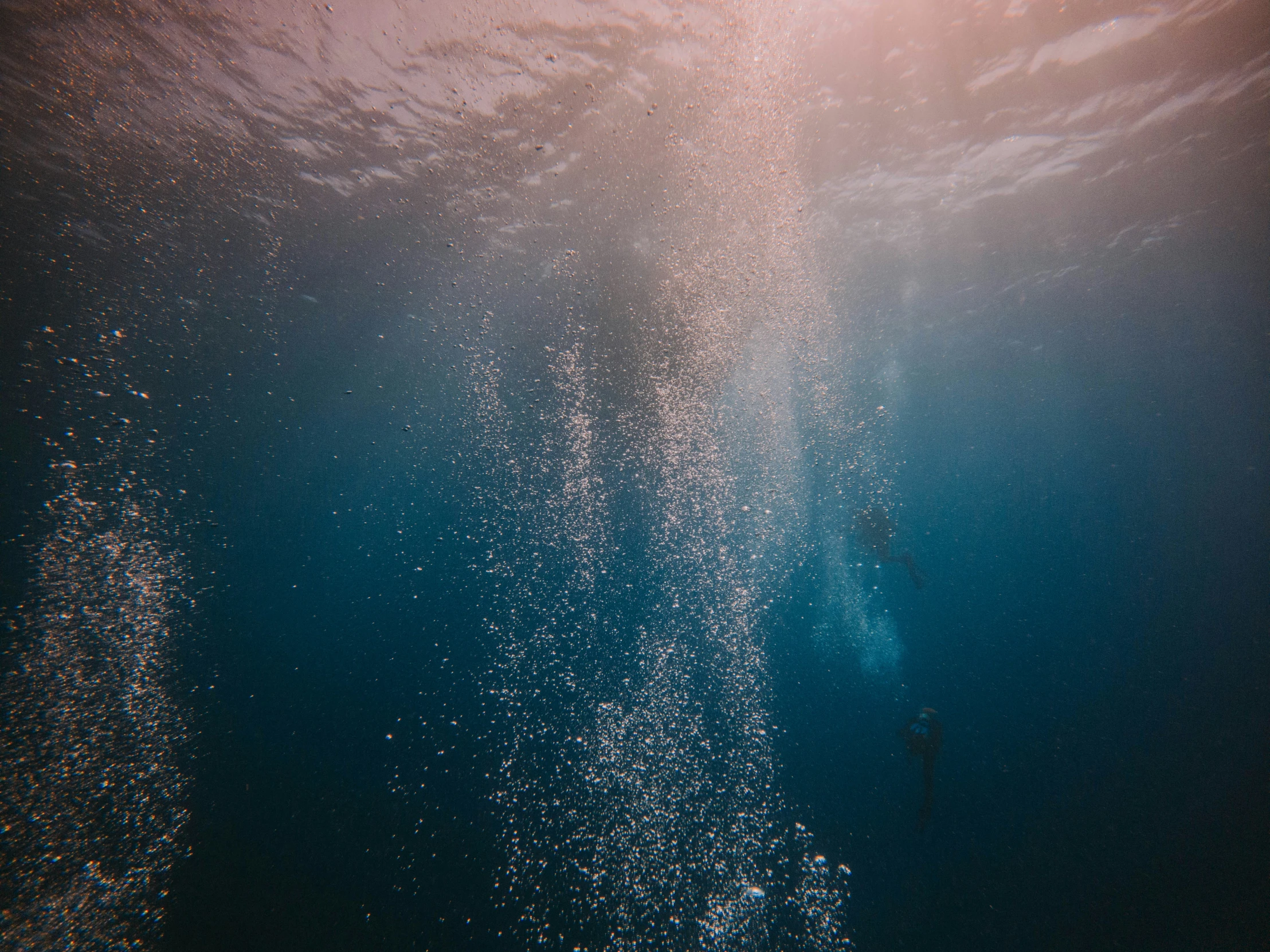 a person swimming in the ocean with blue skies