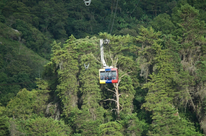 a ski lift car that is in a tree