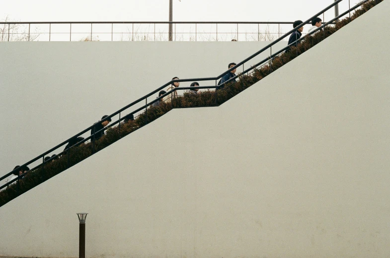 several birds sitting on the stairs of a roller coaster