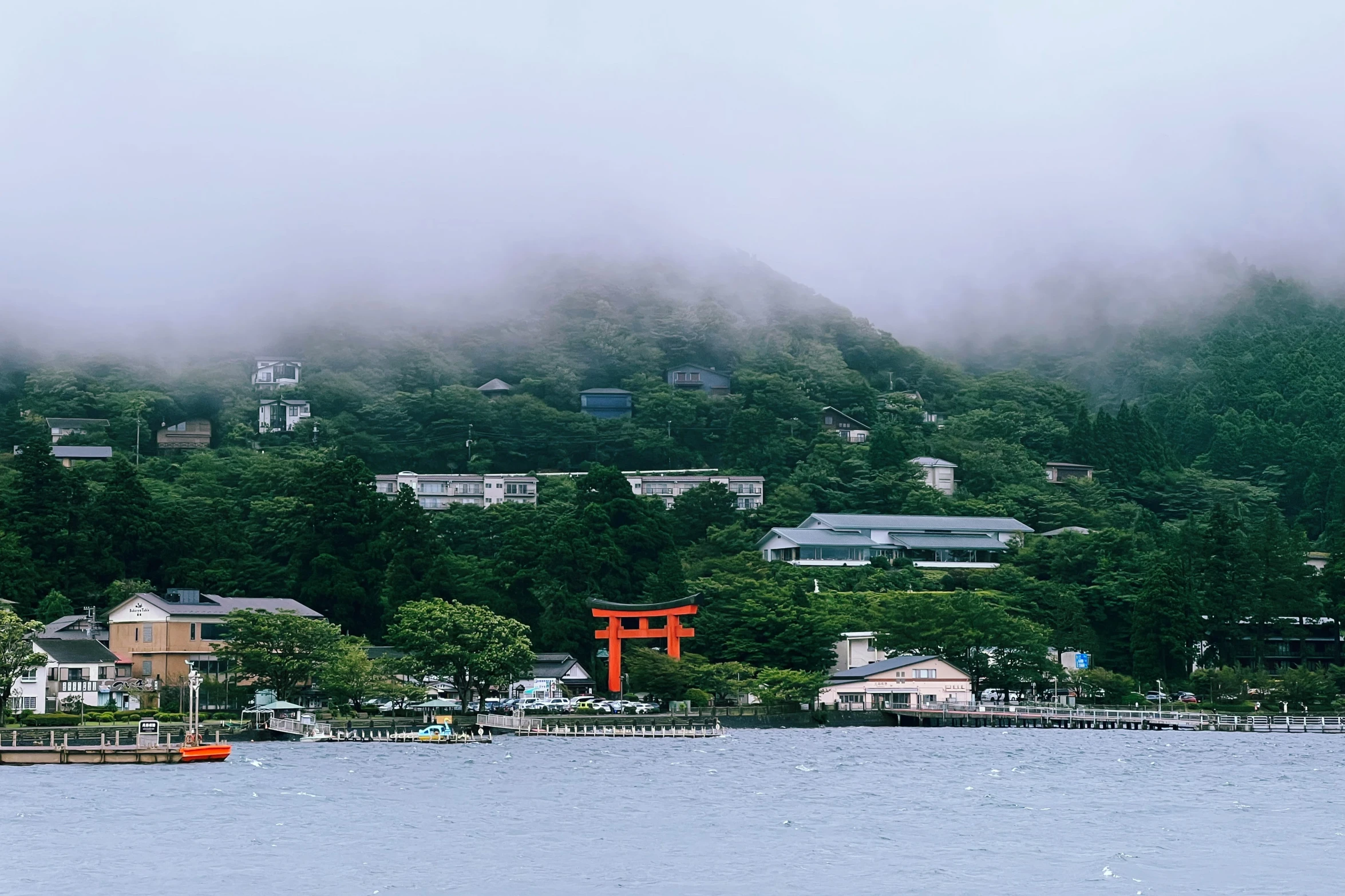 the red torimi stands out in the misty lake