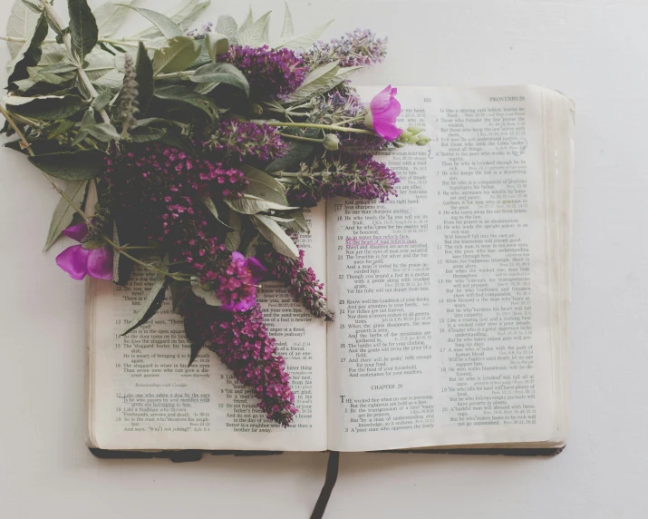 purple flowers are placed on top of an open book