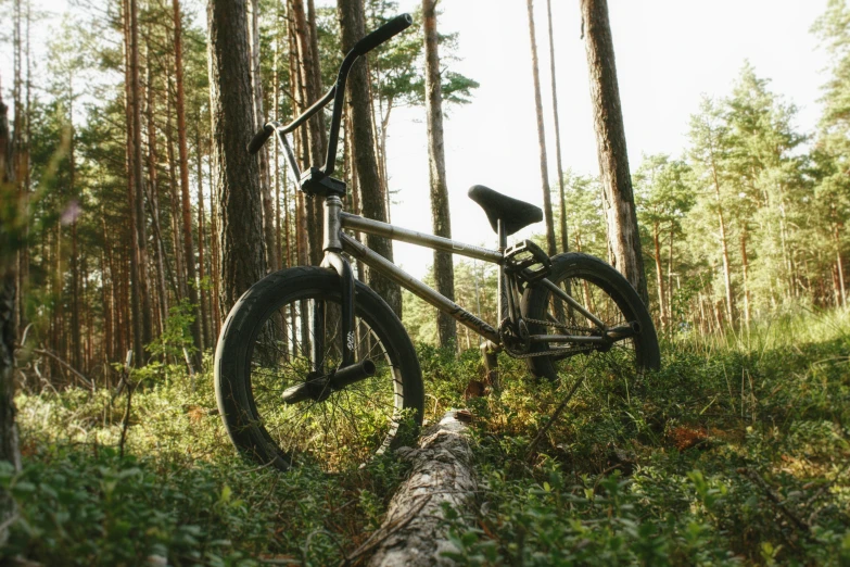 a bicycle is on the ground in front of trees