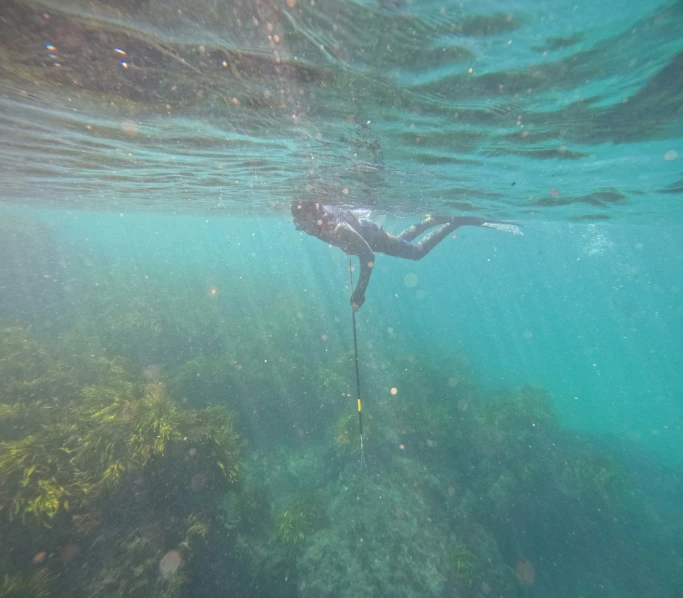 someone swimming in the water with an object in their hands