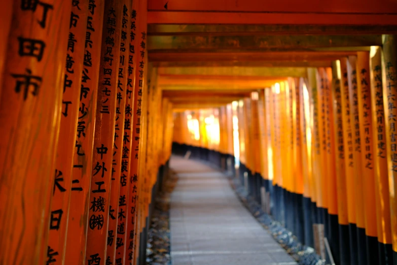 there are many orange poles lined up near the walkway