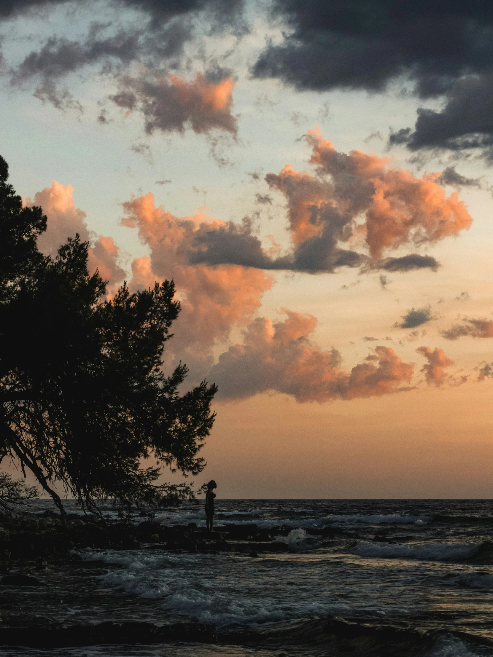 a tree stands alone on the shore of a beach at sunset