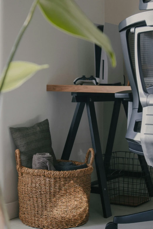 a computer desk and some plants in a room