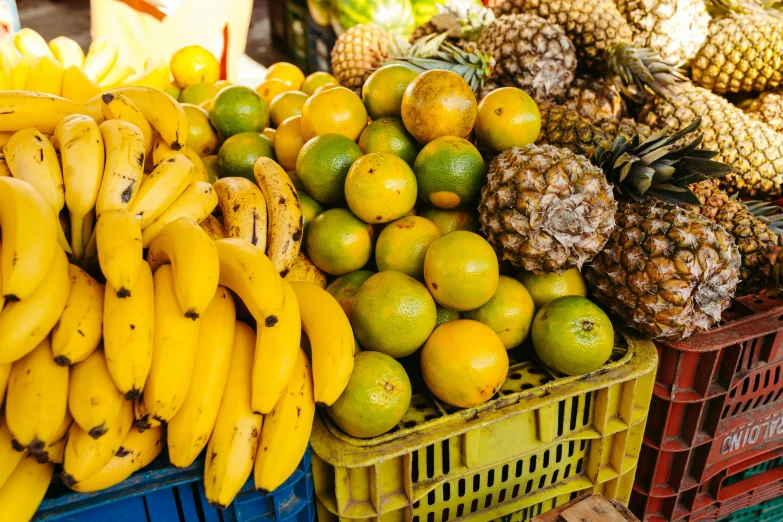 fruits that are laying in boxes next to each other