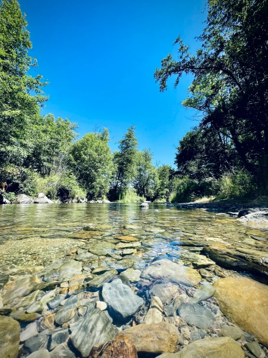 a river is filled with clear water surrounded by lots of trees