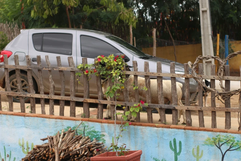 a white car parked next to a wooden fence